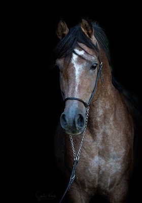 AS Klawis Najma 2025