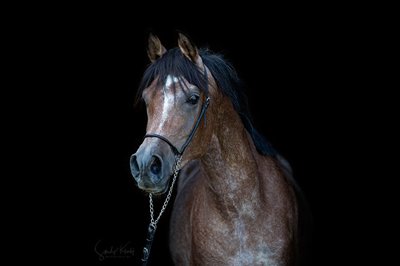 AS Klawis Najma 2025