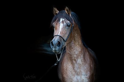 AS Klawis Najma 2025