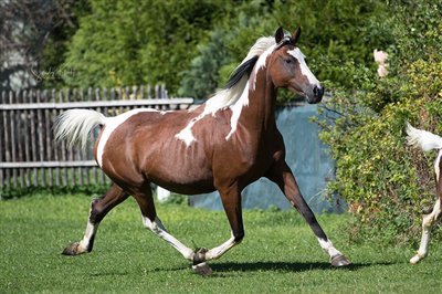 Coloured Spring 2025