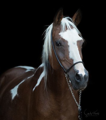 Coloured Spring 2025