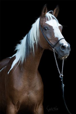 Coloured Spring 2025